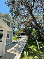 Very Special Villa, 6 and 3 Great For Family Reunions