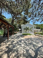 Very Special Villa, 6 and 3 Great For Family Reunions