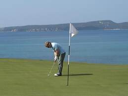 The Olive Grove Tsapi