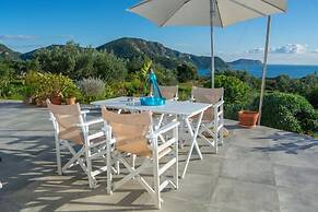 The Olive Grove Tsapi