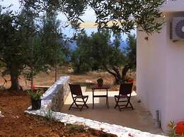 The Olive Grove Tsapi