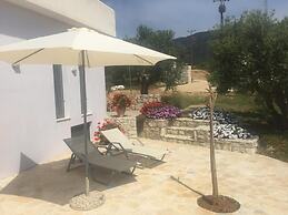 The Olive Grove Tsapi