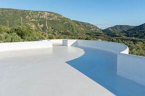 The Olive Grove Tsapi