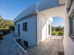 The Olive Grove Tsapi