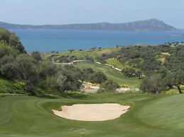 The Olive Grove Tsapi