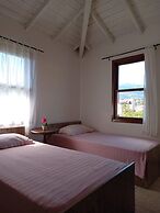 Olivia Houses 2 Worth to Look At