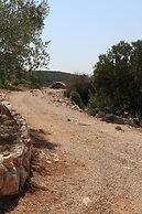 Spacious Robinson House Iris With Pool