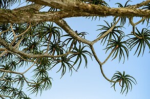 Spaciousviewsbalcony2-bedroomsen-suitenetflix