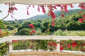 Villa Virginia With Private Pool Lefkada