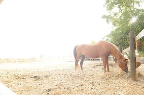 Mandara - Country Lodging