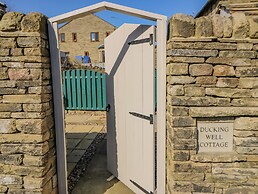 Ducking Well Cottage