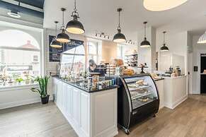 Rideau King 1Br Apartment Free Parking