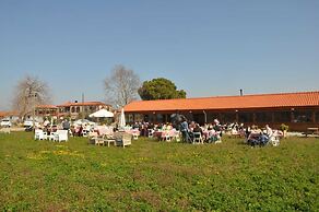 Ayvalık Sural Çiftliği Since 1899