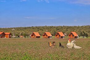 Ayvalık Sural Çiftliği Since 1899