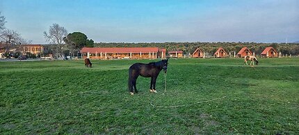 Ayvalık Sural Çiftliği Since 1899