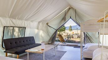 Tammah - Yellowstone - Glamping