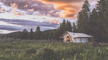 Tammah - Yellowstone - Glamping