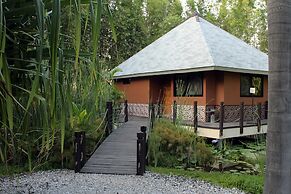Soul Spring Sanctuary