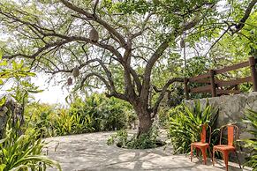 Soul Spring Sanctuary Cuernavaca