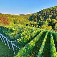 Vineyard cottage Matej