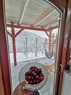 Vineyard cottage Matej
