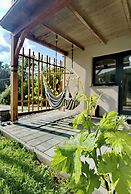 Vineyard cottage Matej