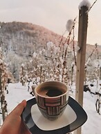 Vineyard cottage Matej