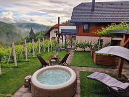 Vineyard cottage Matej