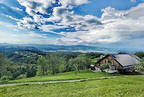 Vineyard cottage Matej