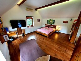 Vineyard cottage Matej