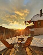 Vineyard cottage Matej