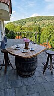 Vineyard cottage Na hribu