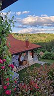 Vineyard cottage Na hribu