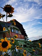 Vineyard cottage Na hribu