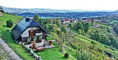 Vineyard cottage Podrzaj