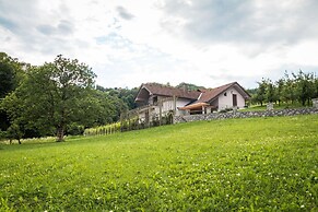 Vineyard cottage Radulja