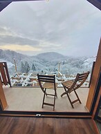 Vineyard cottage Soncni gric