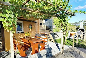 Vineyard cottage Soncni gric