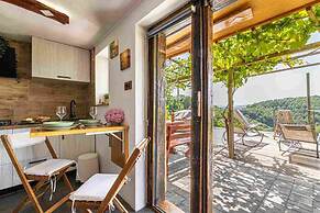 Vineyard cottage Soncni gric