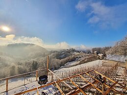 Vineyard cottage Soncni gric