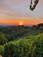 Vineyard cottage Soncni gric