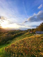 Vineyard cottage Soncni gric