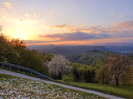 Vineyard cottage Soncni gric