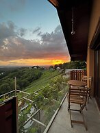 Vineyard cottage Soncni gric