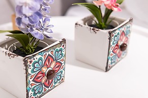 Lithies Zante Living