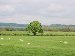 Badgers Sett