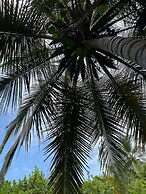 Ecohabs Tequendama Parque Tayrona