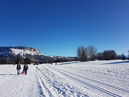 Résidence les Chalets du Berger Premium