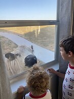 Blue Hills Ranch