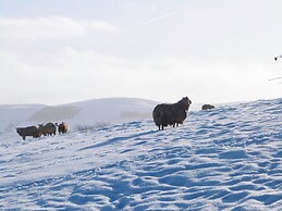 3 Hull House Cottage